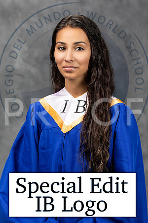Special Edit_IB Logo