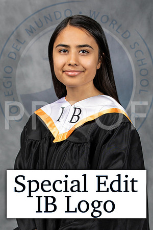 Special Edit- IB Logo